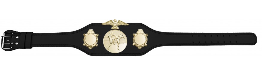 THAI BOXING CHAMPIONSHIP BELT-BUD004/G/TBOG-4 COLOURS